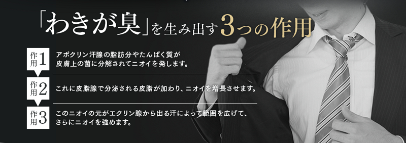 �j�̃��L�K�ɂ́w�c �`�f�h�b�` �f�B�[�A�W�J���T�C�g